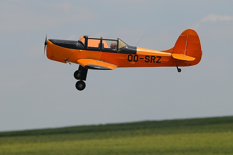 R-BSF_5333.JPG