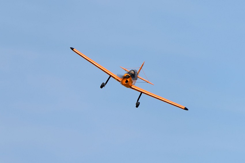 DSC_3011.jpg