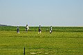 PAQ_8085