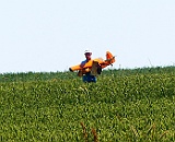 R-P1110100