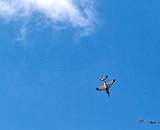 R-ACG-20230716-113931-015