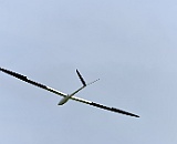 R-DSC 5524 : Le-F3Q
