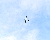 R-DSC 5667 : Le-F3Q