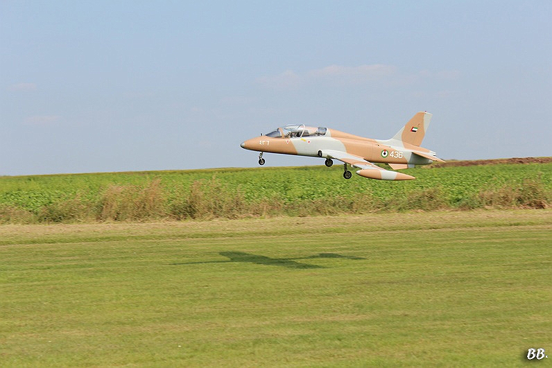 BB-Img-4387.jpg
