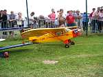 pipercub.jpg