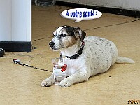 CR-IMG 0110