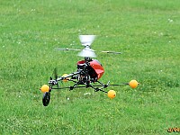 R-IMG 0014