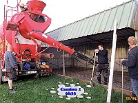 R-IMG 3131