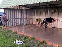 R-IMG 3138