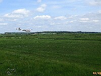 R-IMG 3153