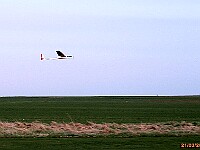R-IMG 1108