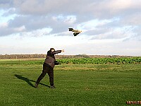 R-IMG 2035