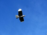 R-IMG 3373