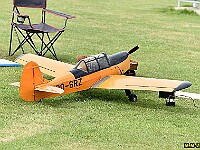 R-DSC 3554