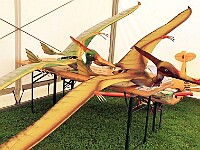 R-P1020019