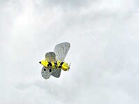 R-P1020044