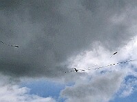 R-P1020094