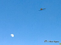 RC-20230302-161116-7X4A5515
